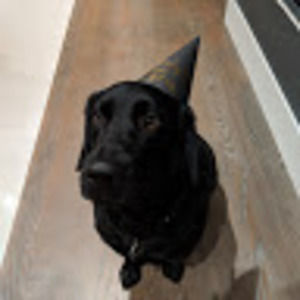 Meet your Posher, Anthy